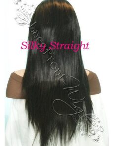 Virgin Brazilian Silky Straight Full Lace Front Wigs Wealthy Hair