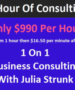 1 Hour Of One On One Business Consulting With Julia Strunk