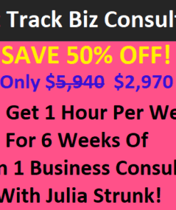 Fast Track 6 Week One On One Business Consulting Package With Julia Strunk
