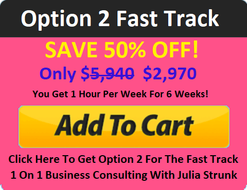 Fast Track 6 Week One On One Business Consulting With Julia Strunk